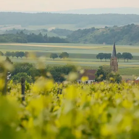 Gastehaus Im Weingut Steitz * Stein-Bockenheim